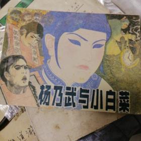 《杨乃武与小白菜》