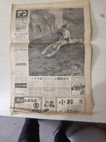 写真新闻报纸（日文）1950年7月10日