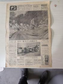写真新闻报纸（日文）【1950年7月6日】