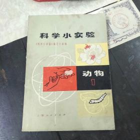 科学小实验