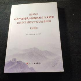 贯彻落实习近平新时代中国特色社会主义思想 在改革发展稳定中攻坚克难案例 文化建设