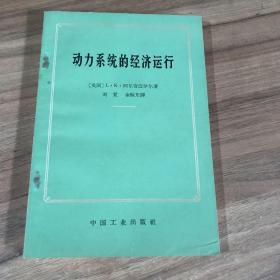 动力系统的经济运行