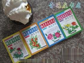 钢笔字帖楷书佳作选 上 丁干贞 中国地质大学出版社