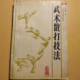 武术散打技法