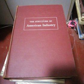 the structure of american industry