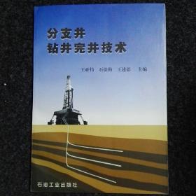 分支井钻井完井技术