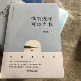 唯有流水可以自在