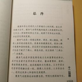 健身气功 十二段锦 武术武功养生气功强身健体延年益寿2010书籍