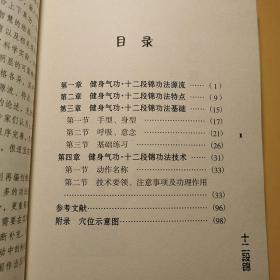 健身气功 十二段锦 武术武功养生气功强身健体延年益寿2010书籍