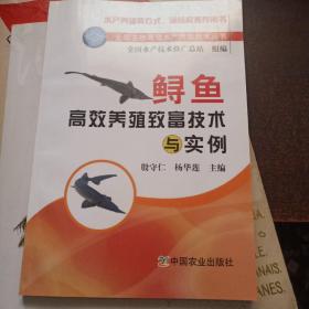 鲟鱼高效养殖致富技术与实例
