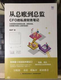 从总账到总监：CFO的私房财务笔记