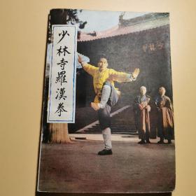 少林寺罗汉拳 少林武术武功内家功法实战拳法套路强身健体1983