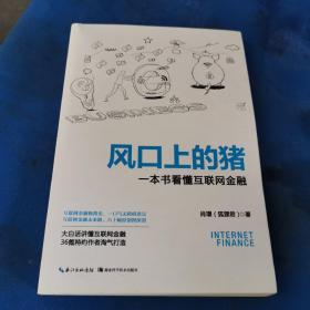 风口上的猪： 一本书看懂互联网金融