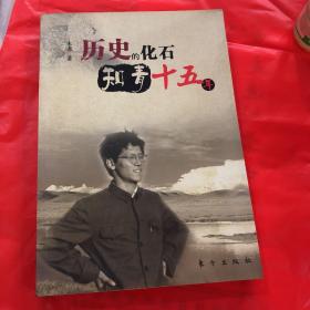 历史的化石  知青十五年
