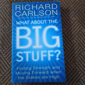 WHAT ABOUT THE BIG STUFF ?