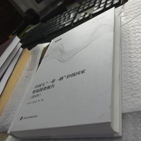 中国与“一带一路”沿线国家贸易投资报告2019  缺外衣