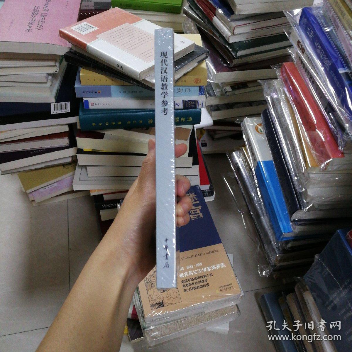 现代汉语教学参考