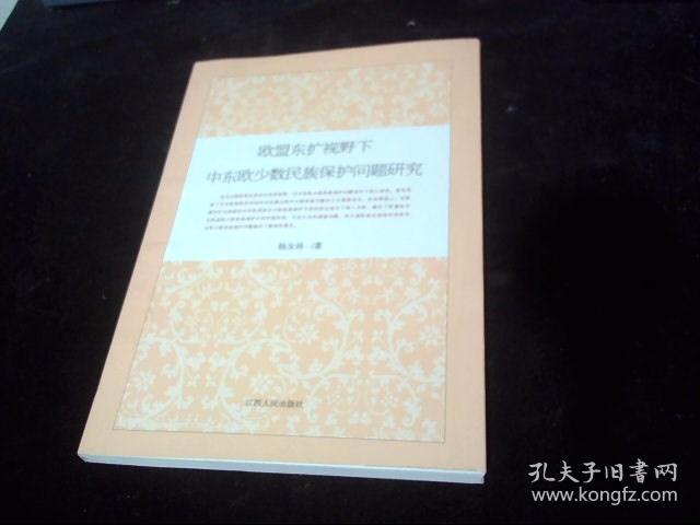 欧盟东扩视野下中东欧少数民族保护问题研究