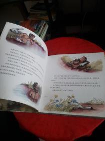 杨红樱画本 纯美童话系列 凝固的池塘（精装，书下有水渍，品见图！！内页轻微破损！无碍阅读！）