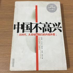 中国不高兴：大时代大目标及我们的内忧外患