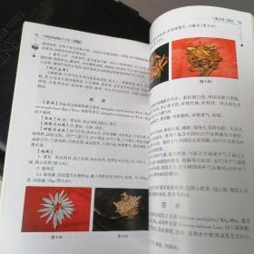 中药材炮制加工方法图解