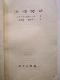 天涯芳草