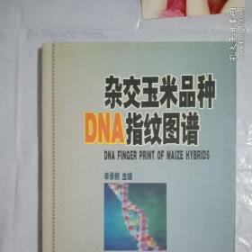 杂交玉米品种DNA指纹图谱