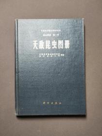 天敌昆虫图册（中科院动物研究所 昆虫图册 第三号） 78年一版一印 近十品！