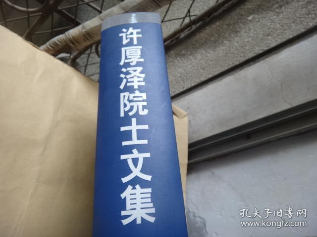 许厚泽院士文集  大厚册