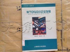 WTO与中小企业发展