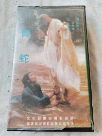 青蛇录像带，主要演员张曼玉，王祖贤，吴兴国