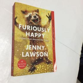 Furiously Happy: A Funny Book About Horrible Things  英文原版