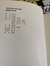 青岛市政协书画作品集（精装本）存电视柜