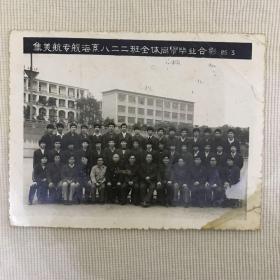 82年老照片