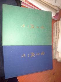 日文原版书：生き残つて