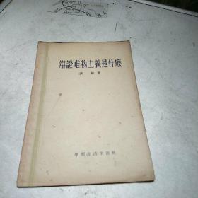 辩证唯物主义是什么