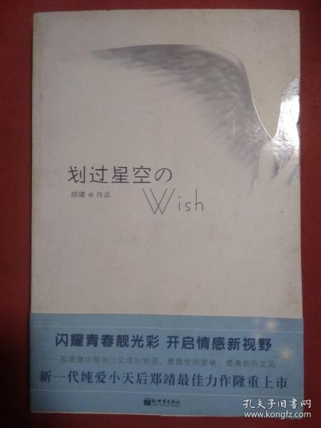 划过星空的WISH