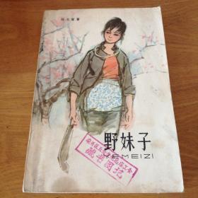 红色文学——野妹子（浙东抗日故事）