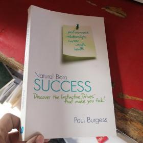 Natural Born Success: Discover the Instinctive Drives That Make You Tick!