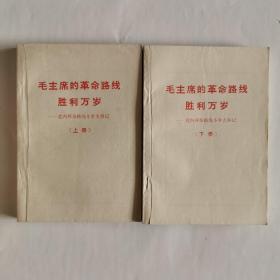 毛主席的革命路线胜利万岁—党内两条路线斗争大事记（上下）