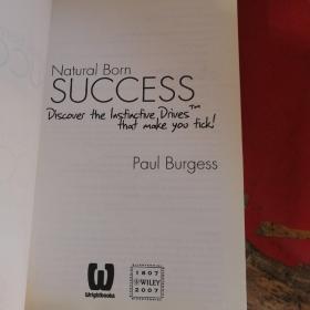 Natural Born Success: Discover the Instinctive Drives That Make You Tick!