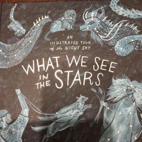 What we see in the stars