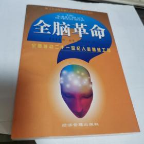 全脑革命：全面启动二十一世纪人类智慧工程