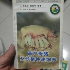 高产母猪及仔猪快速饲养