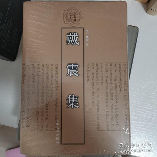 戴震集：清代学者文集丛刊