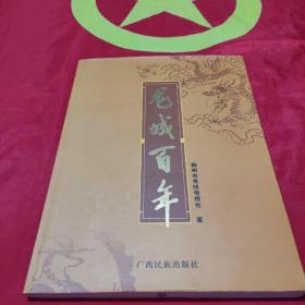 龍城百年:八十集電視系列片