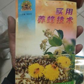实用养蜂技术
