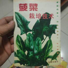 菠菜栽培技术