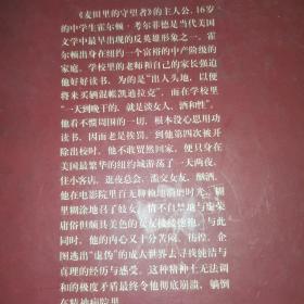 麦田里的守望者