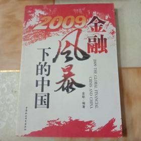 2009金融风暴下的中国